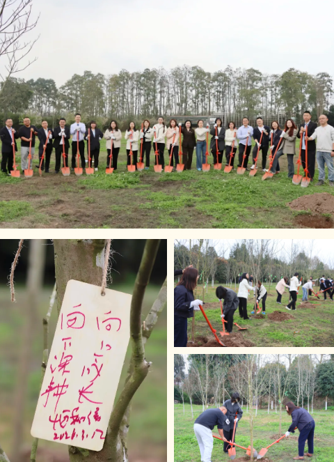 1773625517887100.png image.png